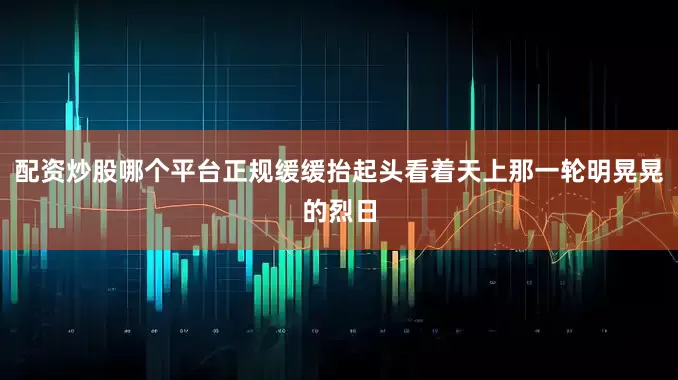 配资炒股哪个平台正规缓缓抬起头看着天上那一轮明晃晃的烈日