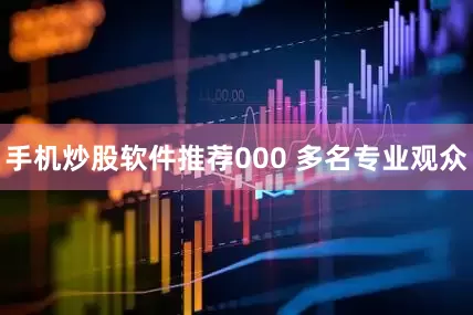 手机炒股软件推荐000 多名专业观众
