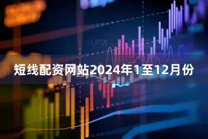 短线配资网站　　2024年1至12月份