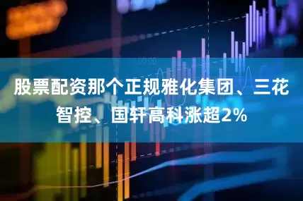股票配资那个正规雅化集团、三花智控、国轩高科涨超2%