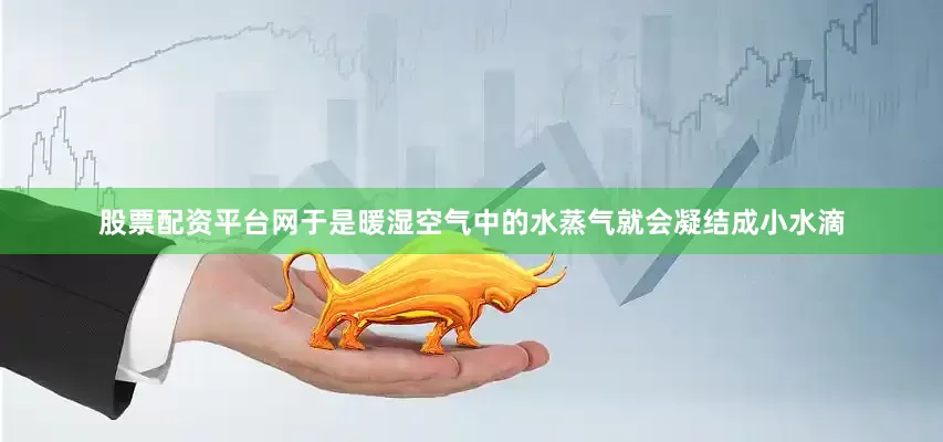 股票配资平台网于是暖湿空气中的水蒸气就会凝结成小水滴