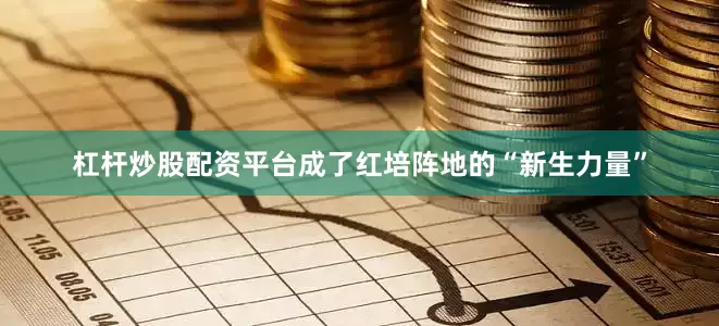 杠杆炒股配资平台成了红培阵地的“新生力量”