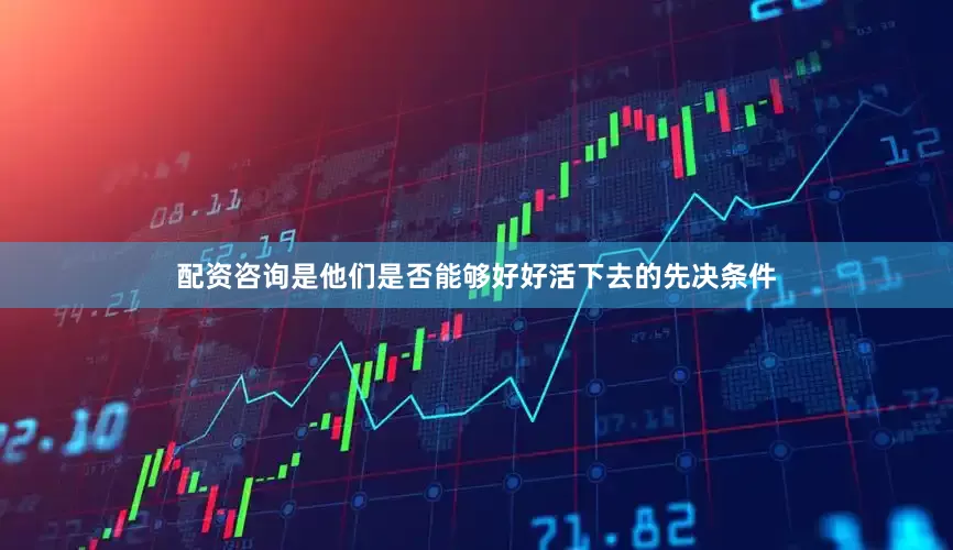 配资咨询是他们是否能够好好活下去的先决条件