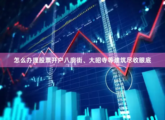 怎么办理股票开户八廓街、大昭寺等建筑尽收眼底