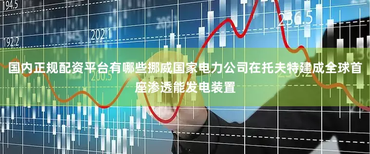 国内正规配资平台有哪些挪威国家电力公司在托夫特建成全球首座渗透能发电装置