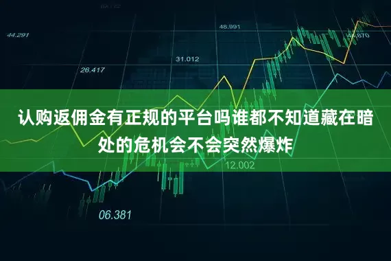 认购返佣金有正规的平台吗谁都不知道藏在暗处的危机会不会突然爆炸